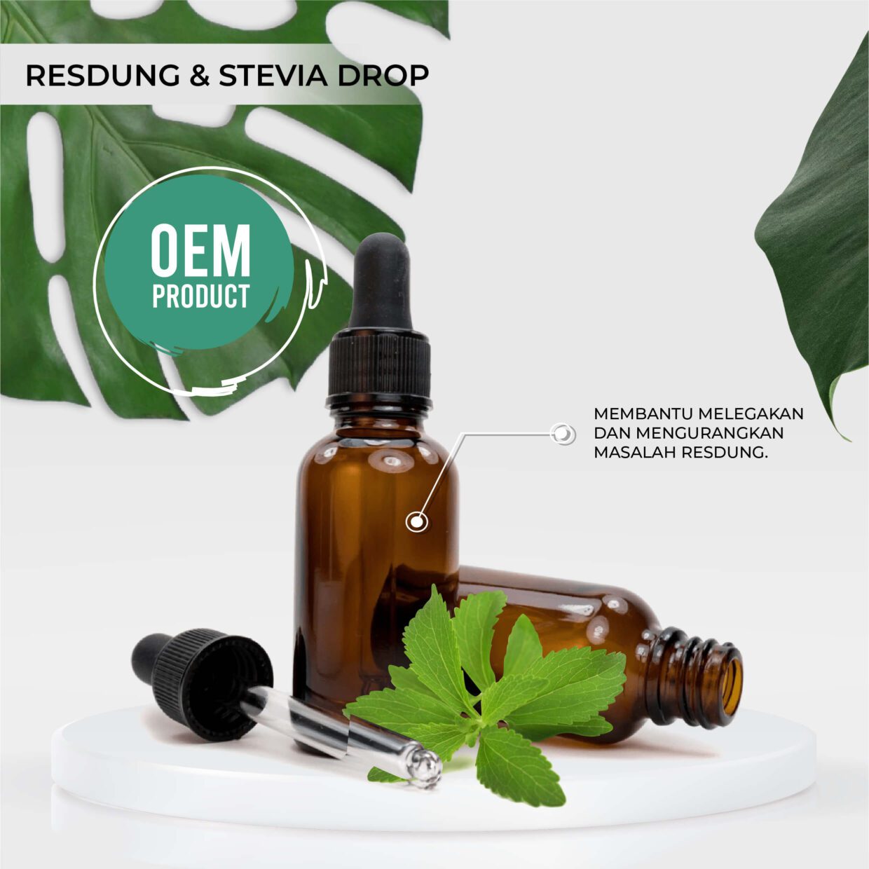 stevia drop - produk jenama sendiri